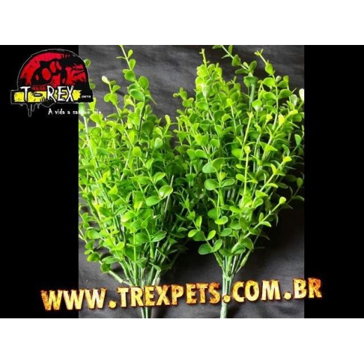 Planta Artificial - Croton Salvinia