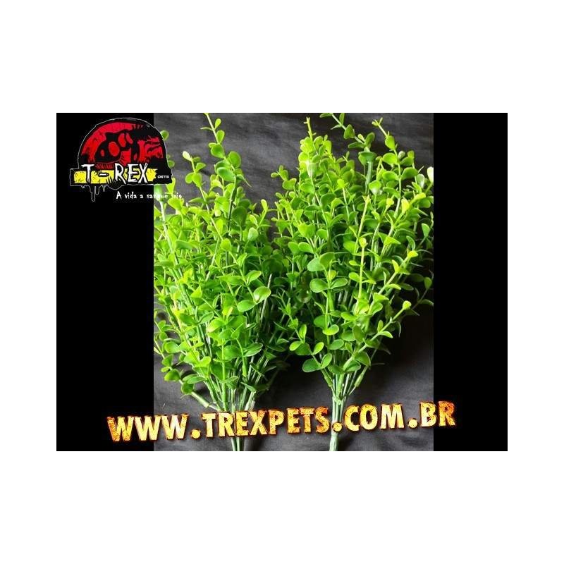 Planta Artificial - Croton Salvinia