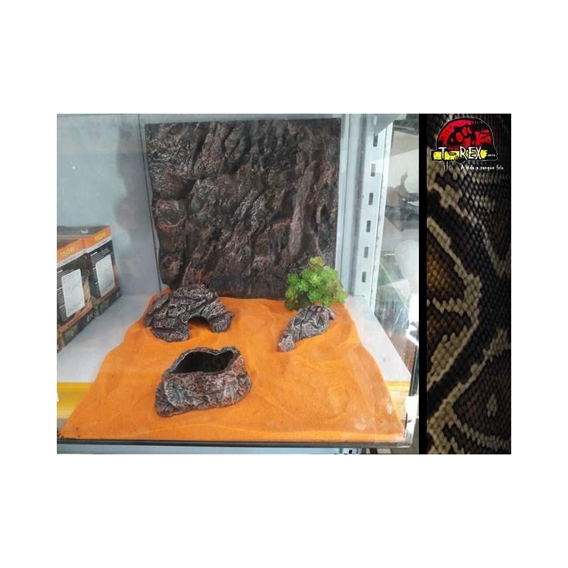 Terrário 02 | Gecko | Corn | Aranhas | Répteis 