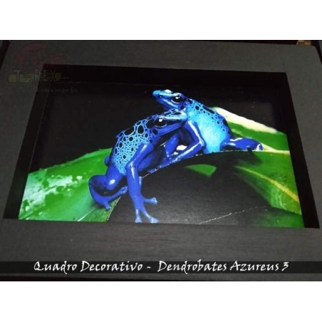 Quadro Herpetofauna