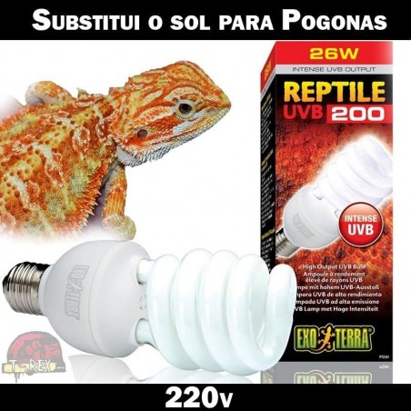 Lâmpada para Terrário de pogonas dragao barbudo