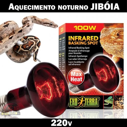 Lâmpada aquecer jibóia