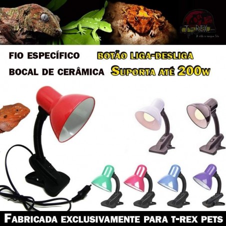 luminaria luz dragao barbado