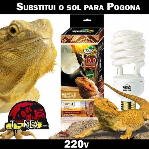 Lampada para repteis uvb uva Pogona