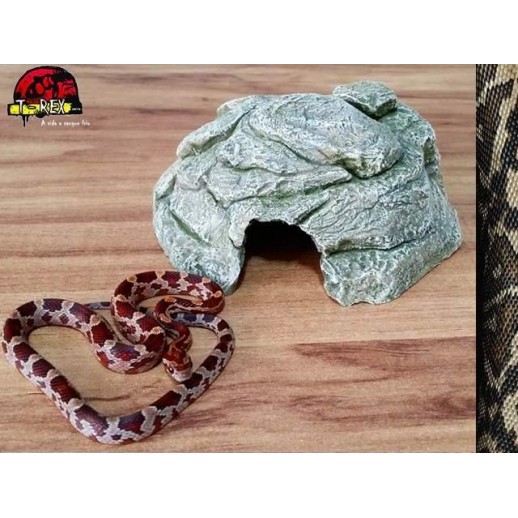 Toca pequena para Répteis TP-01 Terrário | Corn Snake Toca pequena para Répteis TP-01 Terrário | Corn Snake