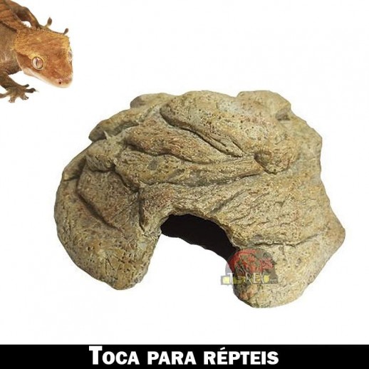 toca para répteis gecko toca para répteis gecko
