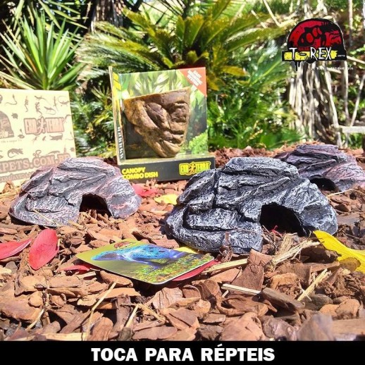 toca para gecko leopardo repteis toca para gecko leopardo repteis