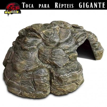 toca para jabutis